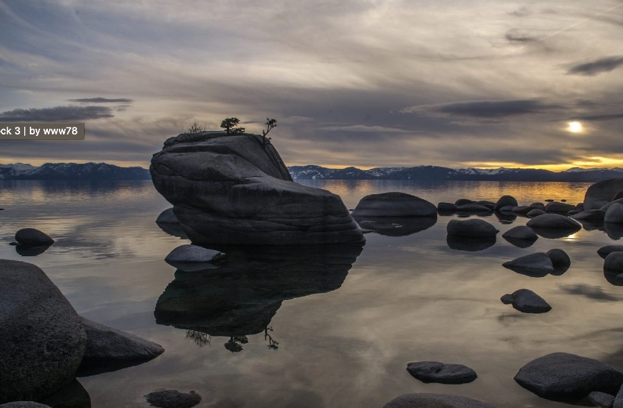 Bonsai Rock