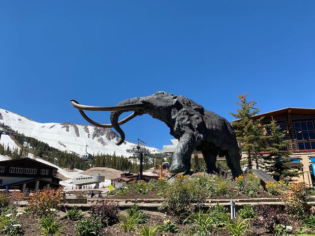 Mammoth Mountain California Webcams