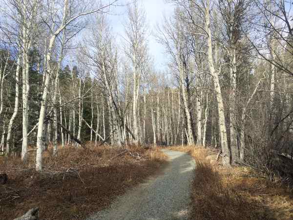 Sendero Flume Otoño