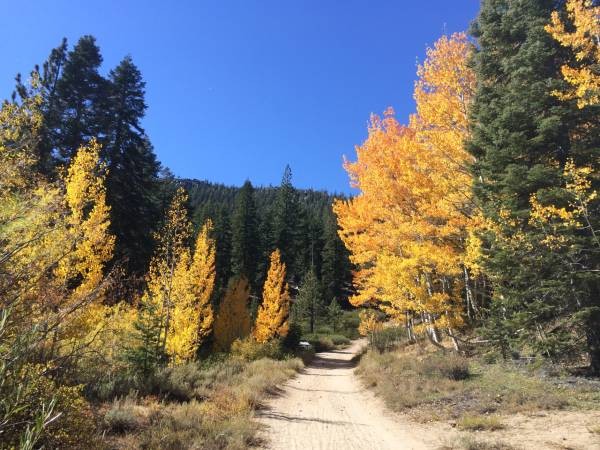 ¿Amante de las Hojas? – Explora los Senderos de Lake Tahoe en Otoño