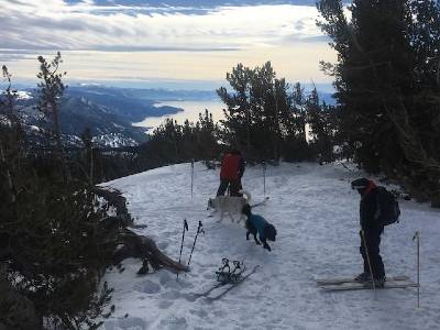 Tahoe avalanche advisory from Sierra Avalanche Center