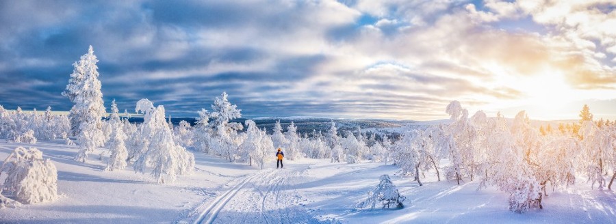 The 5 W’s and FAQ of Cross-Country Skiing in Lake Tahoe