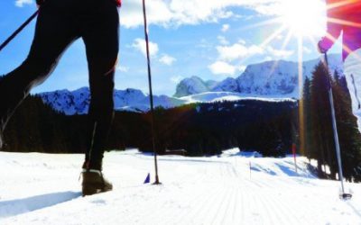 Lake Tahoe Cross Country Ski Guide