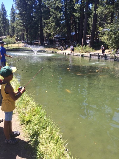 Tahoe Trout Farm - things to do with kids