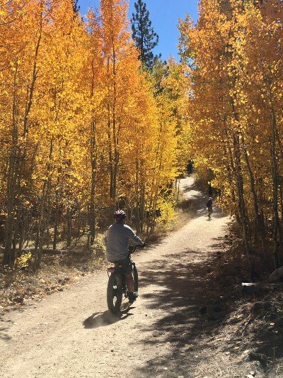 sendero-bicicleta-otoño